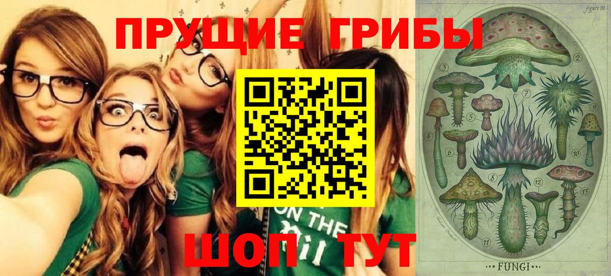 Карачаевск  Псилоцибиновые грибы мицелий  Вход с VPN  Псилоцибиновые грибы Psilocybe 