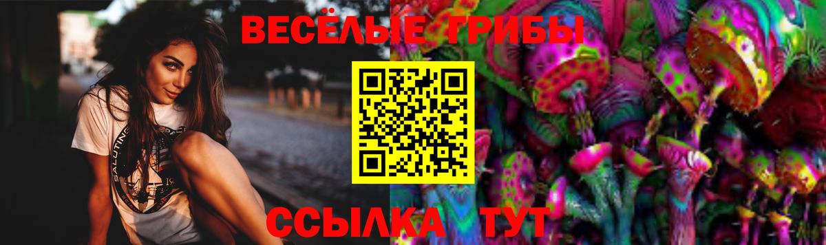 Псилоцибиновые грибы MAGIC MUSHROOMS Карачаевск