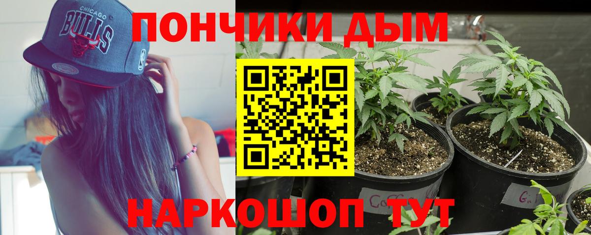 Каннабис LSD WEED  Марихуана Ganja  Вход с VPN  Марихуана гибрид  Карачаевск 